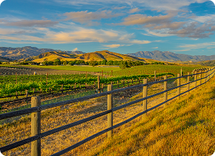 Agricultural and farm fencing